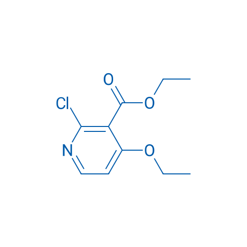 Ethyl 2-chloro-4-ethoxynicotinate 1g