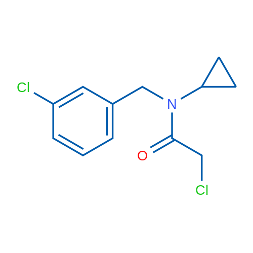 2-Chloro-N-(3-chlorobenzyl)-N-cyclopropylacetamide 1g