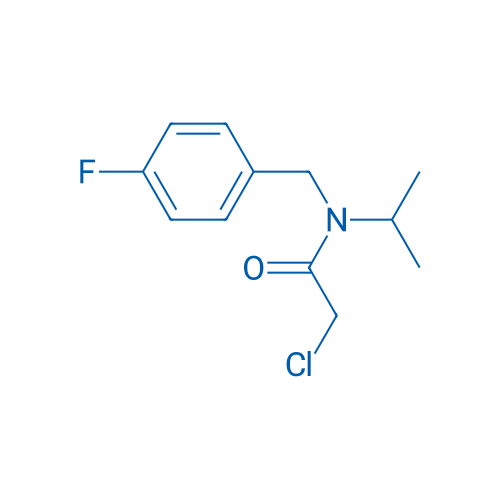 2-Chloro-N-(4-fluorobenzyl)-N-isopropylacetamide 1g