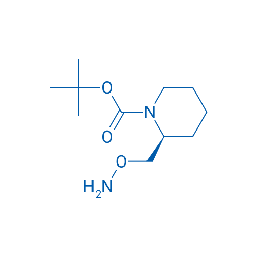 tert-Butyl (2S)-2-[(aminooxy)methyl]piperidine-1-carboxylate 1g