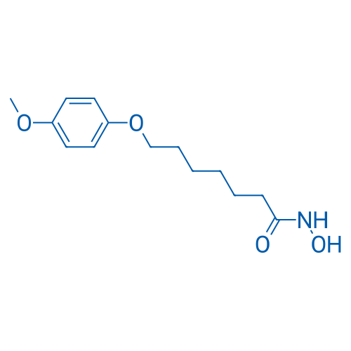 N-Hydroxy-7-(4-methoxyphenoxy)heptanamide 250mg