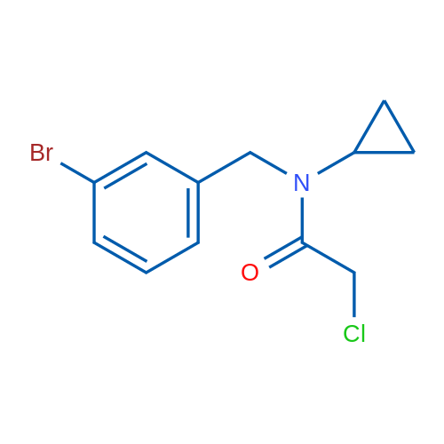 N-(3-Bromobenzyl)-2-chloro-N-cyclopropylacetamide 1g
