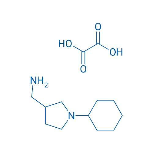 (1-Cyclohexylpyrrolidin-3-yl)methanamine oxalate 1g