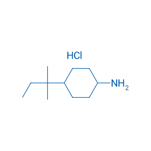 4-(2-Methylbutan-2-yl)cyclohexan-1-amine hydrochloride 1g