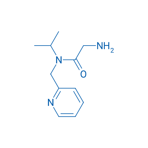 2-Amino-N-isopropyl-N-(pyridin-2-ylmethyl)acetamide 1g