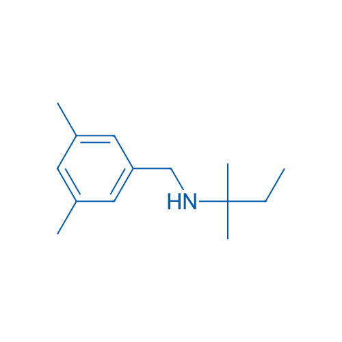 [(3,5-Dimethylphenyl)methyl](2-methylbutan-2-yl)amine 1g