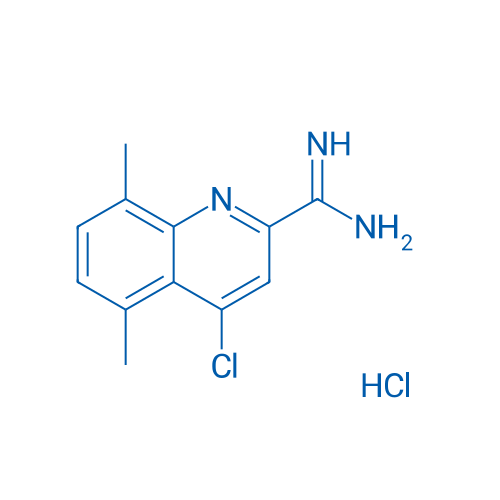 4-Chloro-5,8-dimethylquinoline-2-carboximidamide hydrochloride 1g