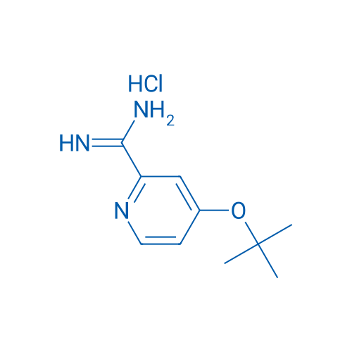 4-(tert-Butoxy)picolinimidamide hydrochloride 1g
