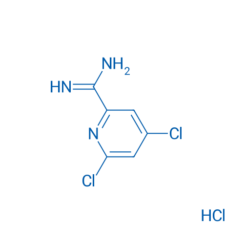 4,6-Dichloropicolinimidamide hydrochloride 1g