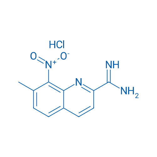 7-Methyl-8-nitroquinoline-2-carboximidamide hydrochloride 1g