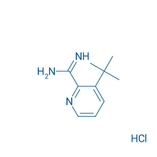 3-(tert-Butyl)picolinimidamide hydrochloride 1g