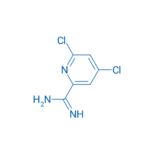 4,6-Dichloropicolinimidamide 1g