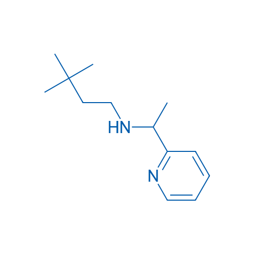 (3,3-Dimethylbutyl)[1-(pyridin-2-yl)ethyl]amine 10g