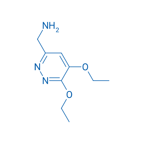 (5,6-Diethoxypyridazin-3-yl)methanamine 250mg