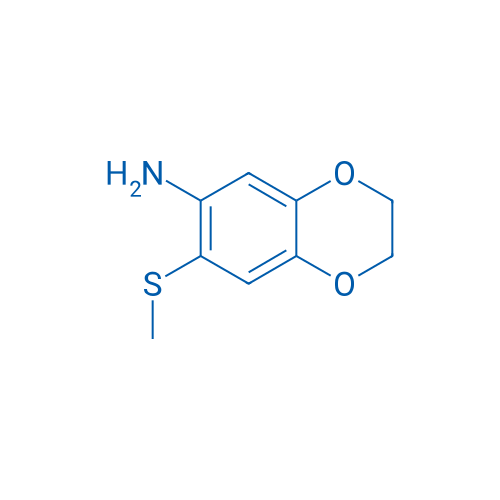 7-(Methylsulfanyl)-2,3-dihydro-1,4-benzodioxin-6-amine 250mg