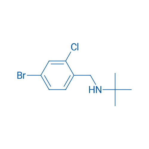 [(4-Bromo-2-chlorophenyl)methyl](tert-butyl)amine 1g