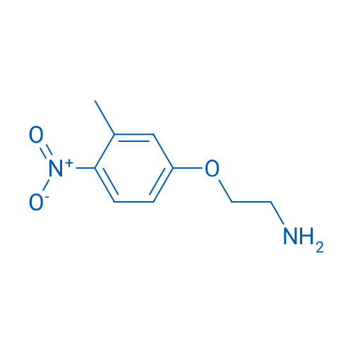 2-(3-Methyl-4-nitrophenoxy)ethan-1-amine 1g