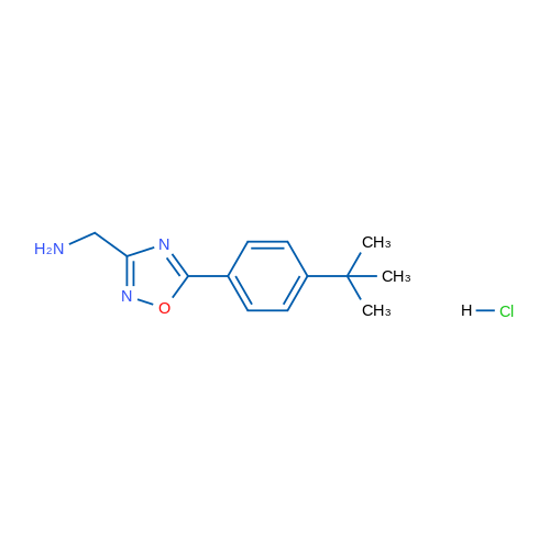 (5-(4-(tert-Butyl)phenyl)-1,2,4-oxadiazol-3-yl)methanamine hydrochloride 1g
