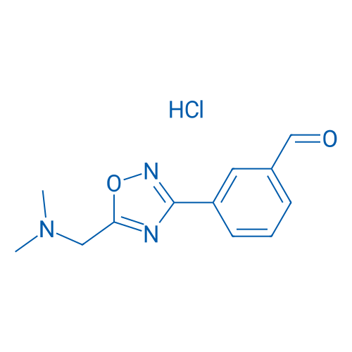 3-(5-((Dimethylamino)methyl)-1,2,4-oxadiazol-3-yl)benzaldehyde hydrochloride 1g
