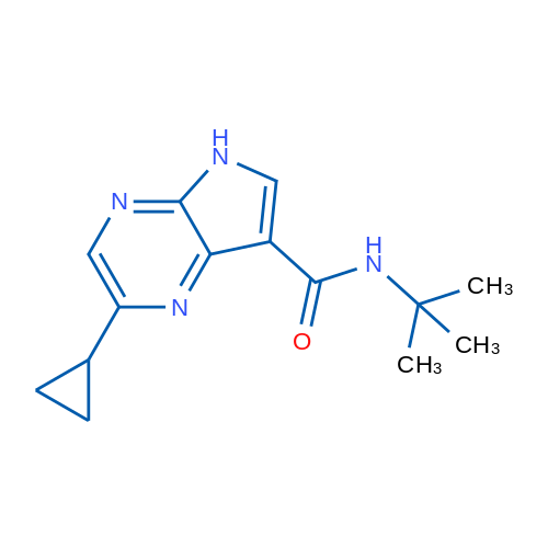 N-(tert-Butyl)-2-cyclopropyl-5H-pyrrolo[2,3-b]pyrazine-7-carboxamide 1g