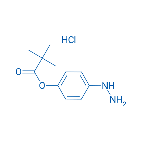 4-Hydrazinylphenyl pivalate hydrochloride 250mg