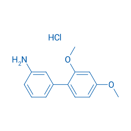 2',4'-Dimethoxy-[1,1'-biphenyl]-3-amine hydrochloride 1g