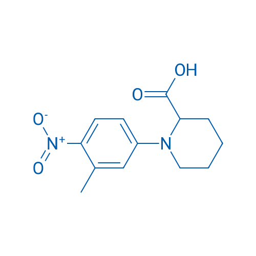 1-(3-Methyl-4-nitrophenyl)piperidine-2-carboxylic acid 1g