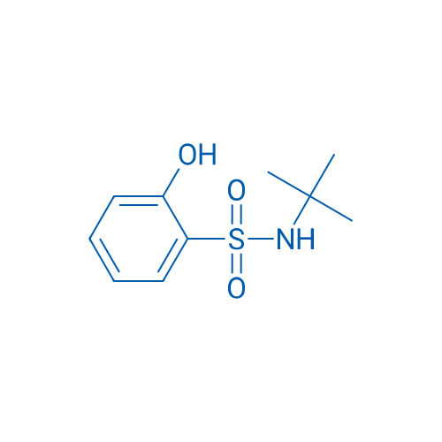 N-tert-Butyl-2-hydroxybenzene-1-sulfonamide 1g