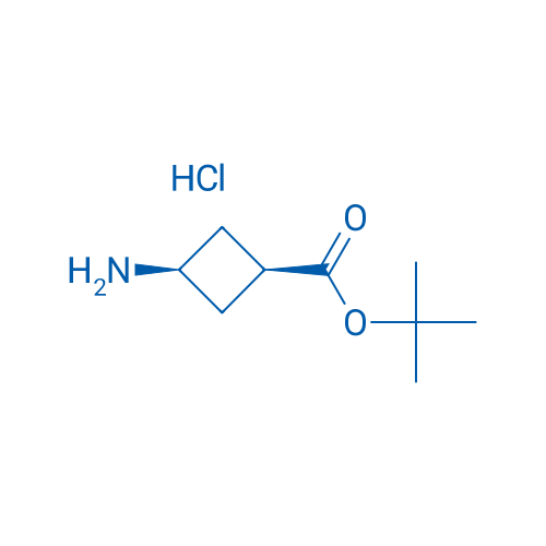 cis-tert-Butyl 3-aminocyclobutanecarboxylate hydrochloride 1g