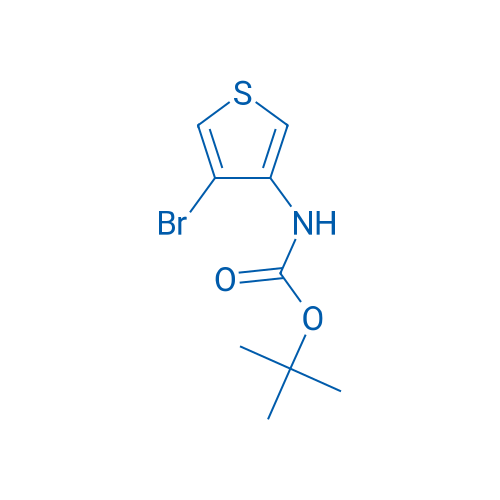 tert-Butyl (4-bromothiophen-3-yl)carbamate 100mg