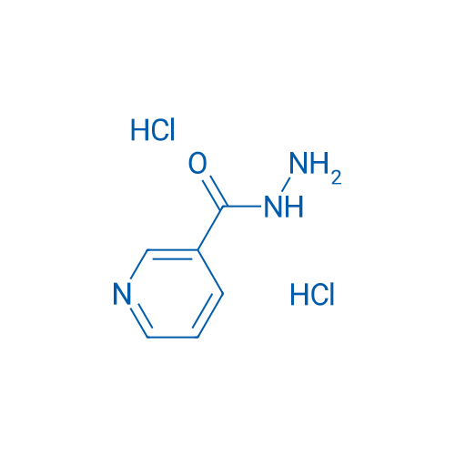Nicotinohydrazide dihydrochloride 1g