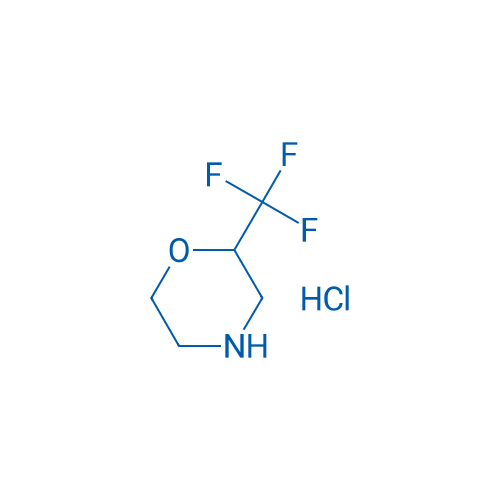 2-(Trifluoromethyl)morpholine hydrochloride 1g