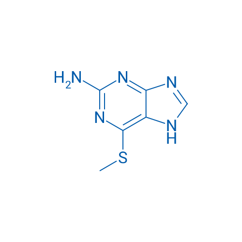 2-Amino-6-methylmercaptopurine 1g