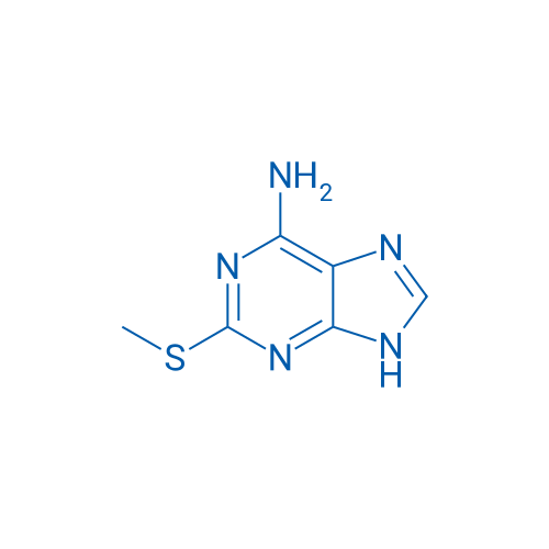 2-(Methylthio)-9H-purin-6-amine 1g