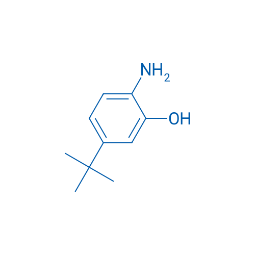 2-Amino-5-tert-butylphenol 1g