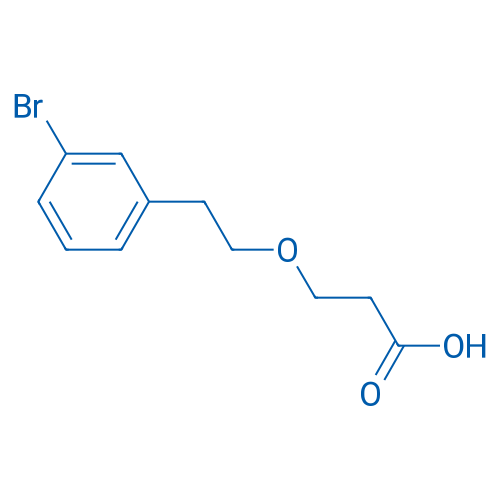 3-(3-Bromophenethoxy)propanoic acid 1g