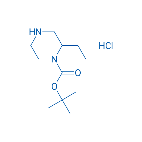 tert-Butyl 2-propylpiperazine-1-carboxylate hydrochloride 1g