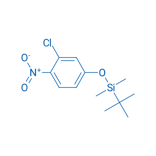 tert-Butyl(3-chloro-4-nitrophenoxy)dimethylsilane 5g