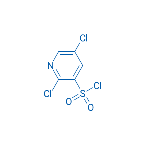 2,5-Dichloropyridine-3-sulfonyl chloride 250mg