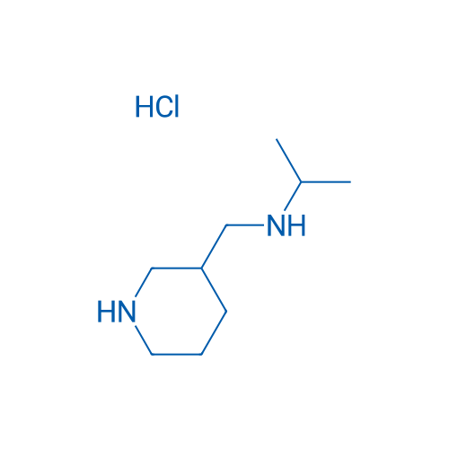 (Piperidin-3-ylmethyl)(propan-2-yl)amine hydrochloride 1g
