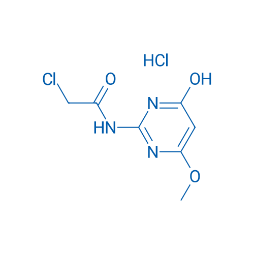 2-Chloro-N-(4-hydroxy-6-methoxypyrimidin-2-yl)acetamide hydrochloride 1g