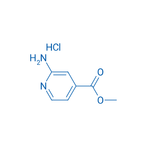 Methyl 2-aminoisonicotinate hydrochloride 1g