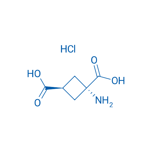 (1r,3r)-1-aminocyclobutane-1,3-dicarboxylic acid hydrochloride 100mg