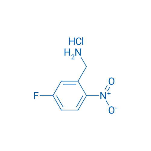 (5-Fluoro-2-nitrophenyl)methanamine hydrochloride 1g