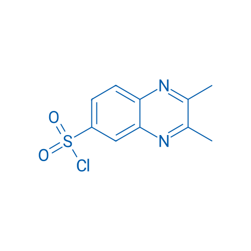 2,3-Dimethyl-6-quinoxalinesulfonyl chloride 1g