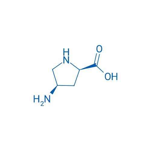 (2R,4R)-4-Aminopyrrolidine-2-carboxylic acid 1g