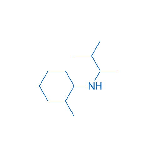 2-Methyl-N-(3-methylbutan-2-yl)cyclohexan-1-amine 10g