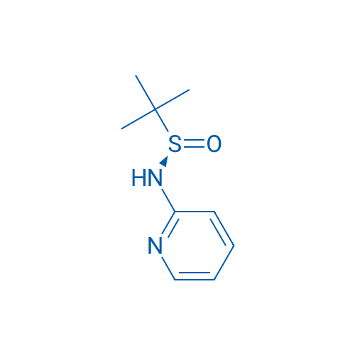 (R)-2-Methyl-N-(pyridin-2-yl)propane-2-sulfinamide 1g