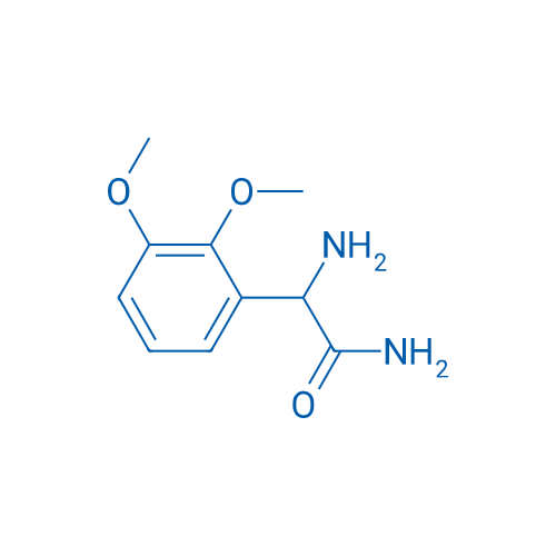 2-Amino-2-(2,3-dimethoxyphenyl)acetamide 1g