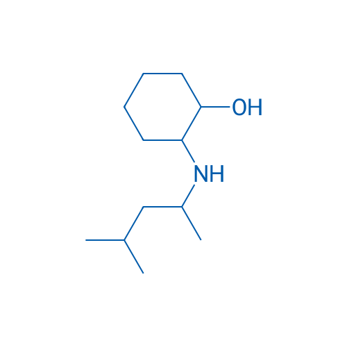2-[(4-Methylpentan-2-yl)amino]cyclohexan-1-ol 10g